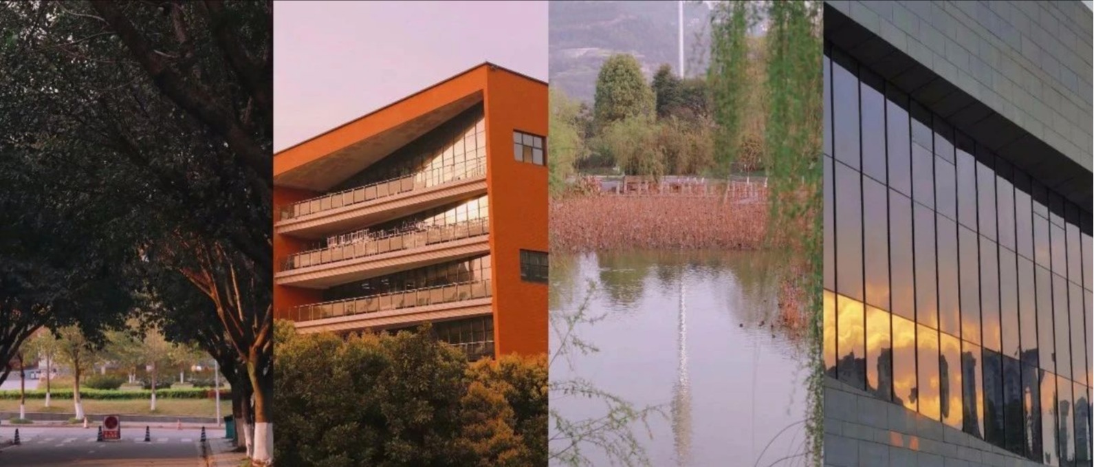 这个景，很对味！