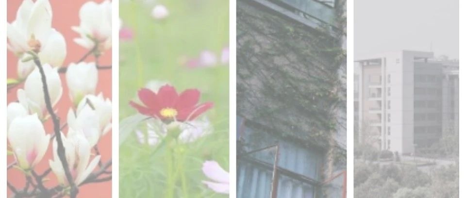 福利来袭 | 川文理的ppt我们承包了！