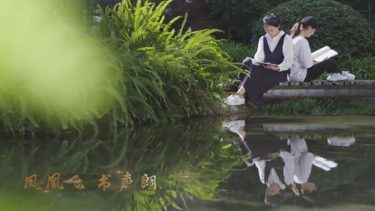 校歌MV｜凤凰欲飞